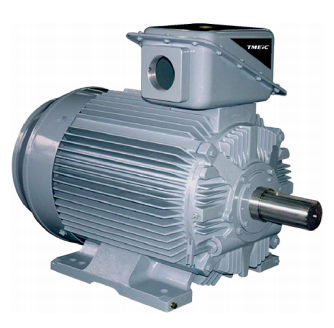 21 FII Series Motor