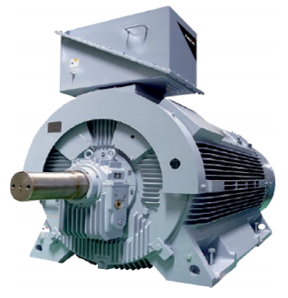 Custom Designed Industion Motors