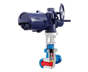 Globe Control Valve