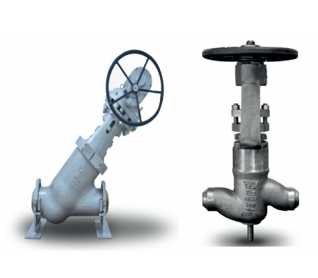 Globe Valve