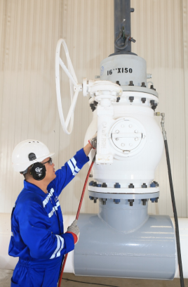 Online Valve Maintenance